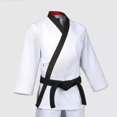 copy of DOBOK Grand Maître GEUM GANG