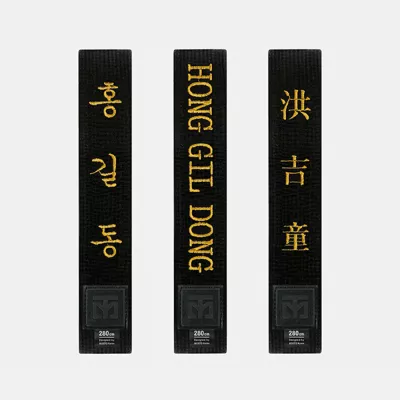 Ceinture MOOTO Noire + Broderie